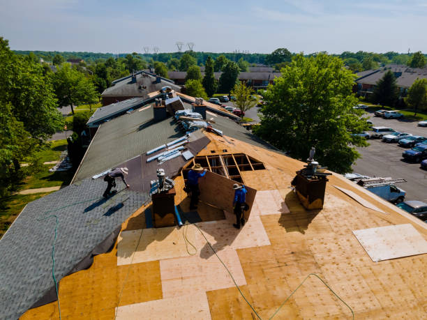 Best Flat Roof Repair Services  in Wharton, NJ